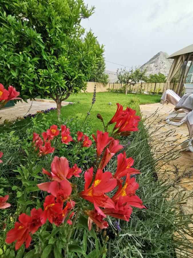 Villa Mater - Luxuriously Equipped Villa With A 15M Long Swimming Pool Žrnovnica Екстериор снимка